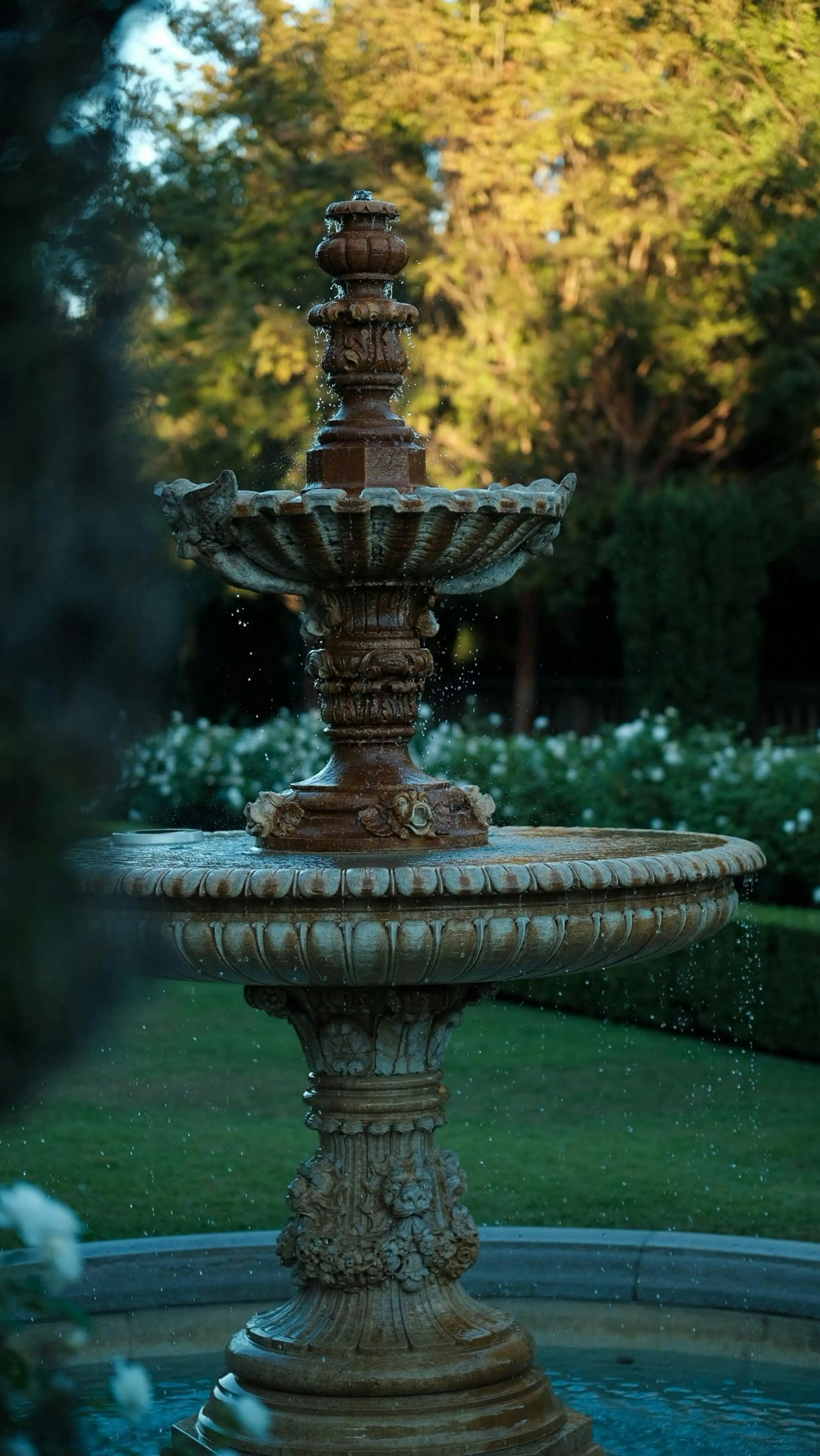 water-photo